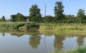 Un_matin_en_Dombes_5juin_2023.jpg